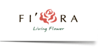 Fiora, салон неувядающих цветов